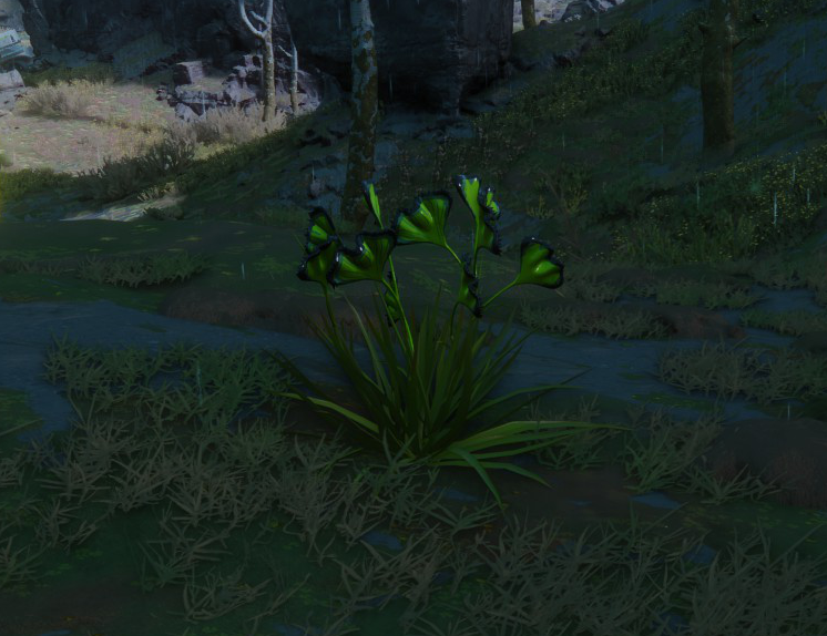 File:Perimeter Sparkleaf.png