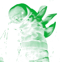 Codex Sekiguchi.png