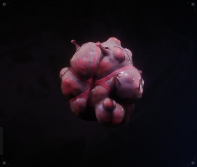 Tarax seed.