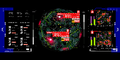 Thumbnail for version as of 23:38, May 23, 2026