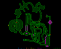 Thumbnail for version as of 17:16, May 1, 2026
