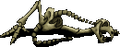 Thumbnail for version as of 06:24, April 28, 2026