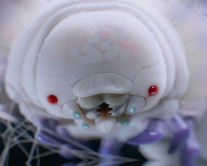 The avatar of Sekiguchi Genetics AI Nona.