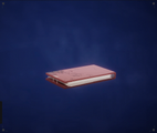 Strauss' personal journal from the Marathon expedition.