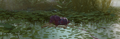 Thumbnail for version as of 05:05, May 14, 2026