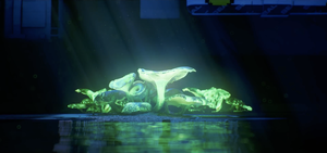 Bioluminescent fungi growing on Tau Ceti IV from the Marathon announcement trailer.