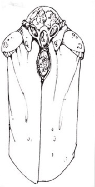 File:M2 CompilerConcept.png