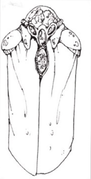 Lore:S'pht - CyberAcme, the Marathon wiki