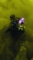 Thumbnail for version as of 23:52, May 20, 2026