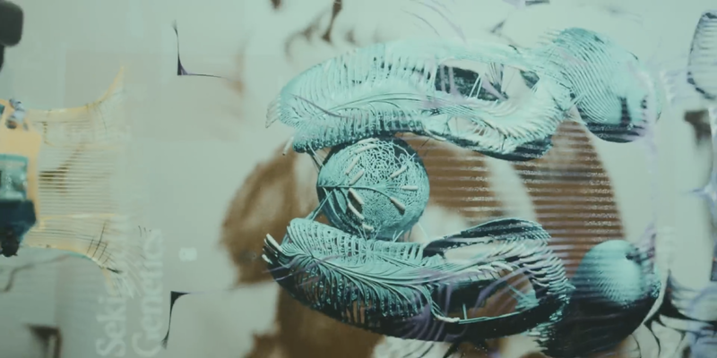 File:CinematicTrailer BiomataOrgans.png