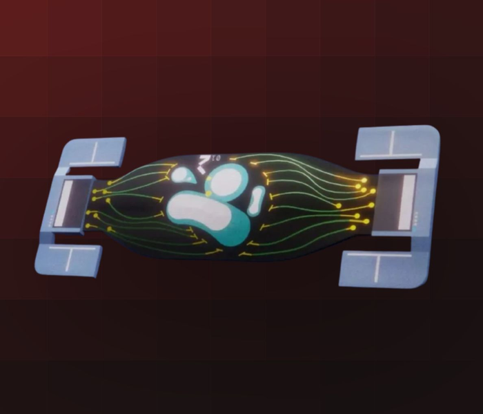 File:Contraband Trinkets.png